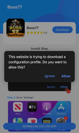 💥Step 4: Click “Allow” to confirm the site to download the profile.